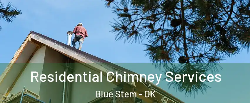 Residential Chimney Services Blue Stem - OK