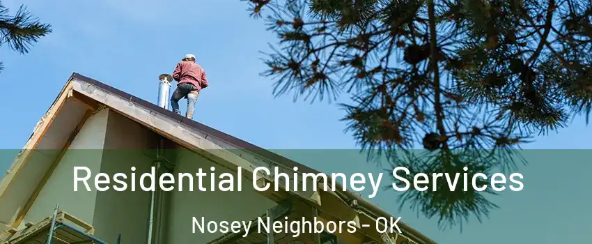 Residential Chimney Services Nosey Neighbors - OK