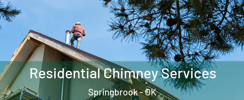 Residential Chimney Services Springbrook - OK