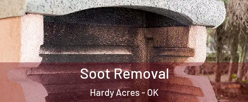Soot Removal Hardy Acres - OK