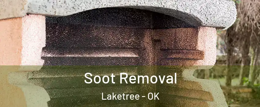Soot Removal Laketree - OK