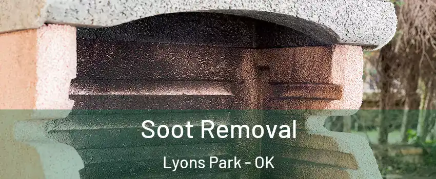 Soot Removal Lyons Park - OK