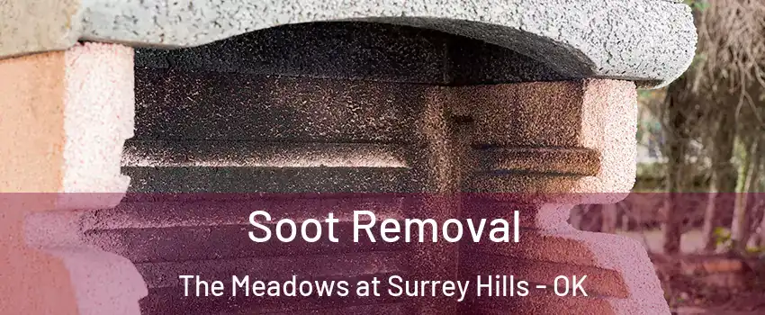 Soot Removal The Meadows at Surrey Hills - OK