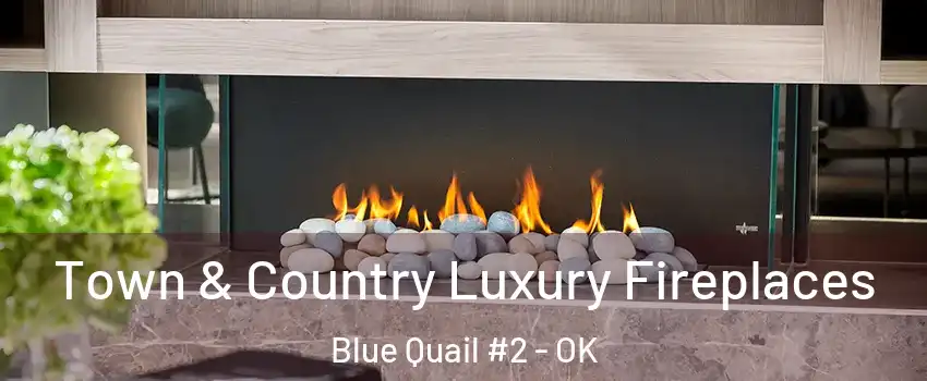 Town & Country Luxury Fireplaces Blue Quail #2 - OK