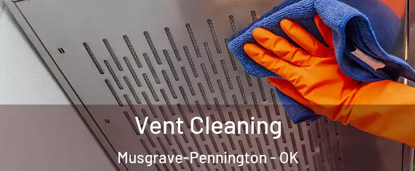 Vent Cleaning Musgrave-Pennington - OK