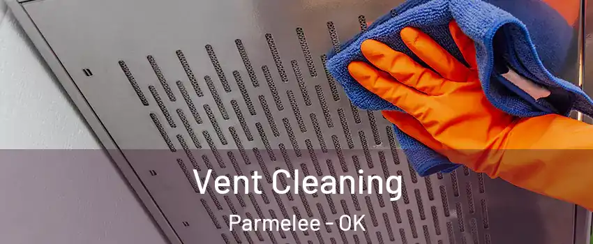 Vent Cleaning Parmelee - OK