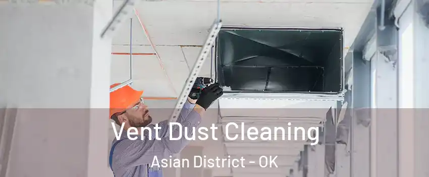 Vent Dust Cleaning Asian District - OK