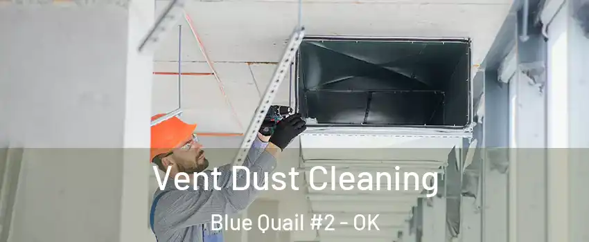 Vent Dust Cleaning Blue Quail #2 - OK