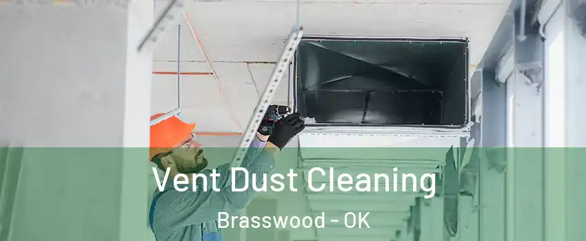 Vent Dust Cleaning Brasswood - OK