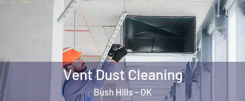 Vent Dust Cleaning Bush Hills - OK
