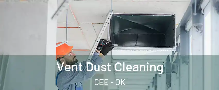 Vent Dust Cleaning CEE - OK