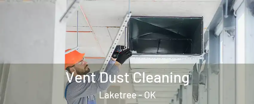 Vent Dust Cleaning Laketree - OK