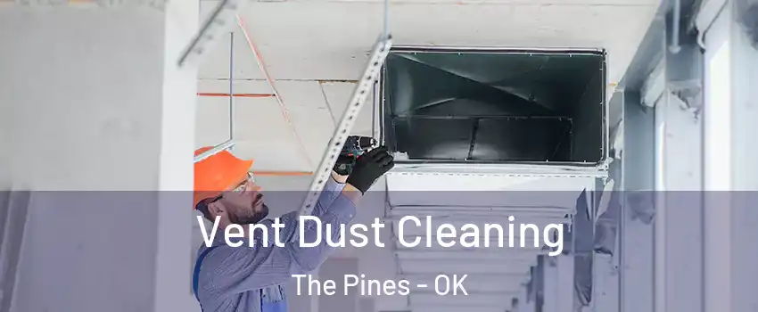 Vent Dust Cleaning The Pines - OK