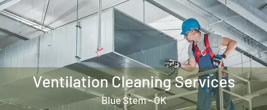 Ventilation Cleaning Services Blue Stem - OK
