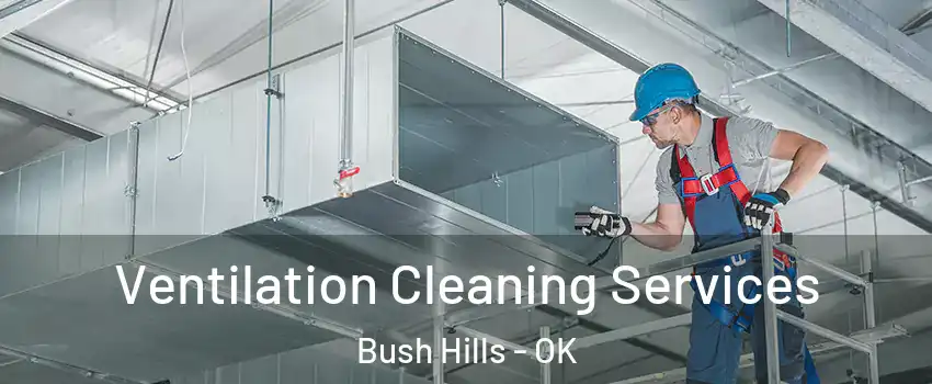 Ventilation Cleaning Services Bush Hills - OK