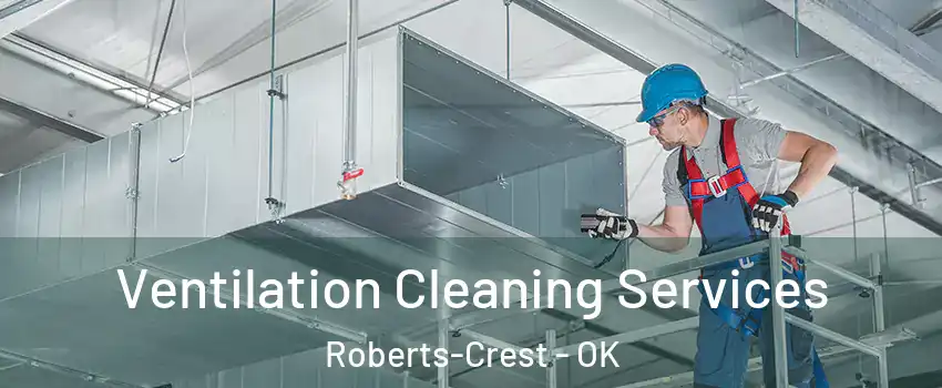 Ventilation Cleaning Services Roberts-Crest - OK