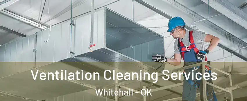 Ventilation Cleaning Services Whitehall - OK