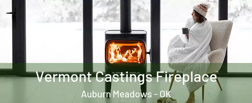 Vermont Castings Fireplace Auburn Meadows - OK