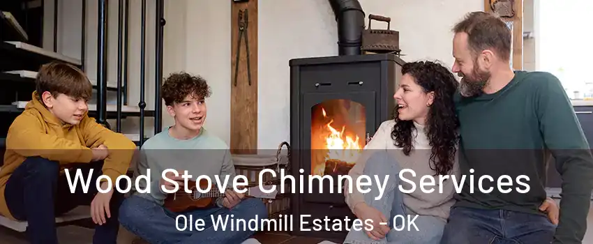 Wood Stove Chimney Services Ole Windmill Estates - OK