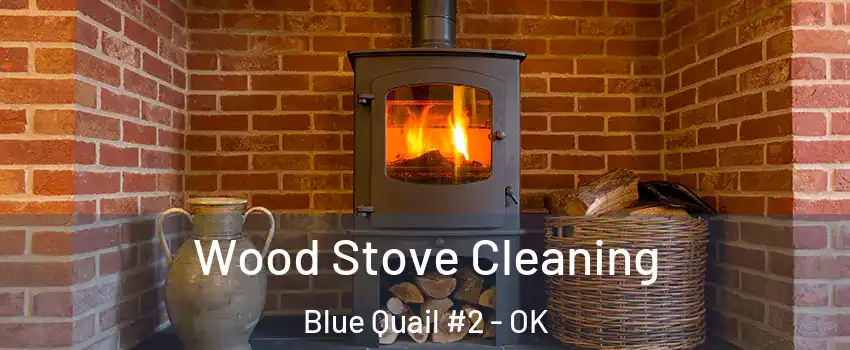 Wood Stove Cleaning Blue Quail #2 - OK