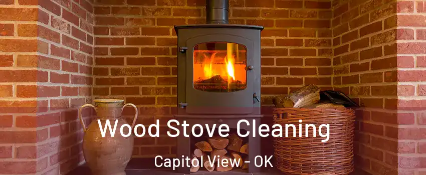 Wood Stove Cleaning Capitol View - OK