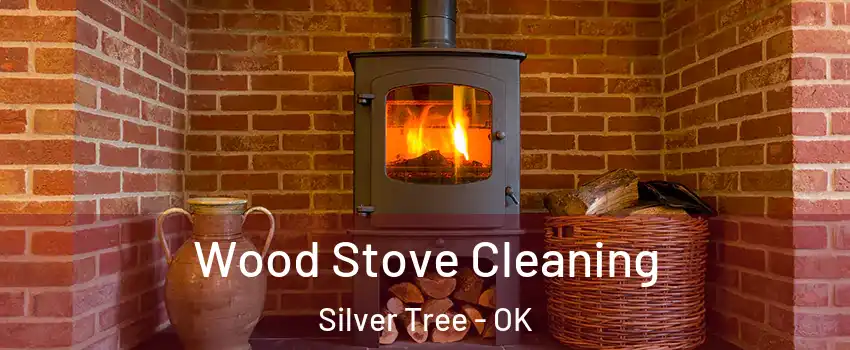 Wood Stove Cleaning Silver Tree - OK