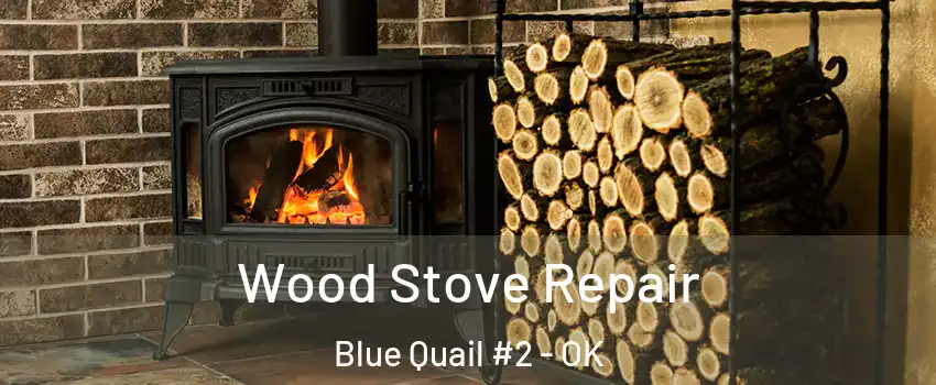 Wood Stove Repair Blue Quail #2 - OK