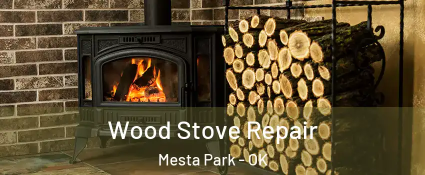 Wood Stove Repair Mesta Park - OK